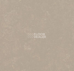Линолеум Forbo Marmoleum Decibel on Order 370835 fossil фото 1 | FLOORDEALER